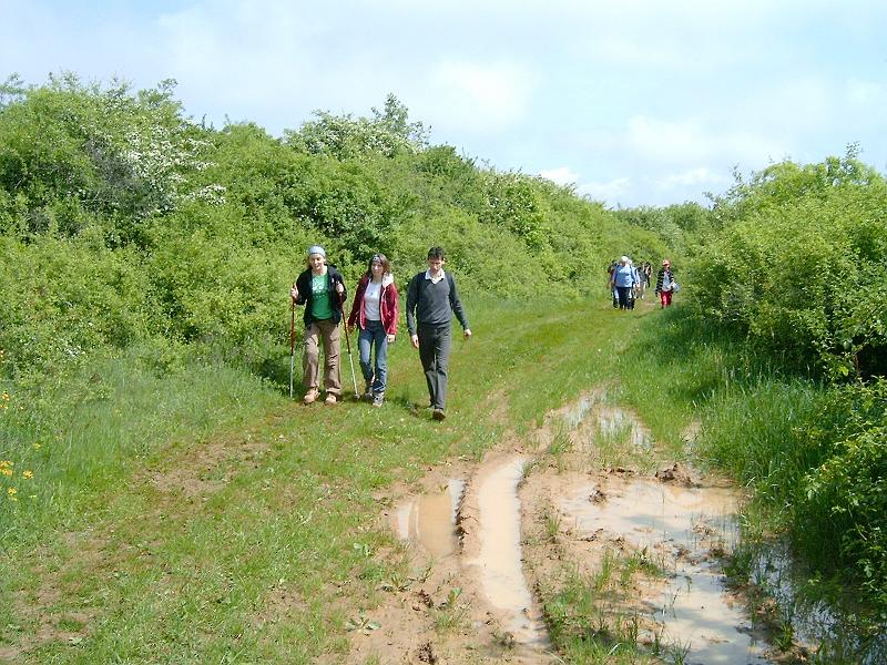 2010.05.08 (016).jpg